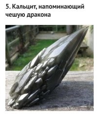 Кто-то на этой планете видел вживую дракона? И может рассказать какая у него чешуя?