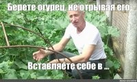 А народного целителя, который в жопу огурцы засовывать советует, проверить не хотят?