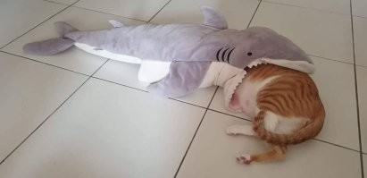 а это вообще не для слабонервных
