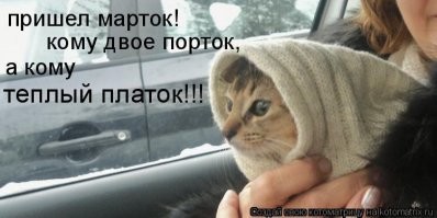 у меня две кошки-подобрашки мартовские. чуть за -20 было два марта подряд. зимы тёплые были. а тут на тебе. одна, потом вторая прижились. PS  про портки молчу, я зимой термобельё приобрёл