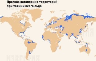 Главное как следует напугать отару, чтобы бараны веселее бежали на забой когда чобану это будет нужно.