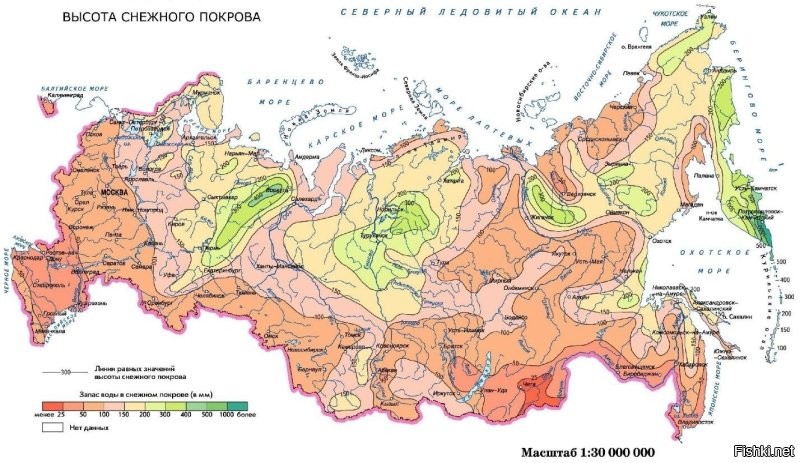 Главное как следует напугать отару, чтобы бараны веселее бежали на забой когда чобану это будет нужно.