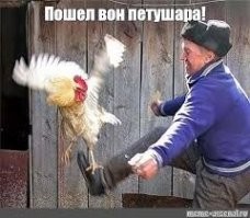 Мемы из соцсетей. Свежак за 17 февраля