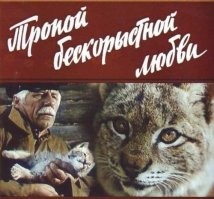 Девушка нашла детёныша рыси, когда гуляла с собакой