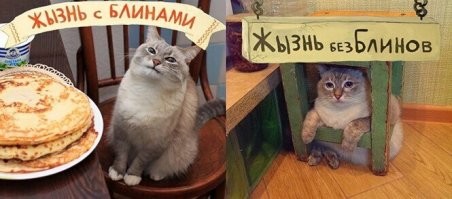 Мемы из соцсетей. Свежак за 2 марта