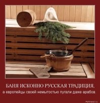 Французские СМИ выяснили, кто виноват в психозе клопов