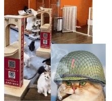 Просто гифки, всякие и&nbsp;разные