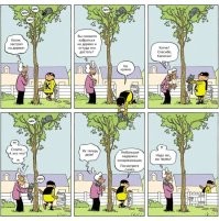 В Подмосковье девушка попыталась спасти кота с дерева, на котором в итоге сама же застряла