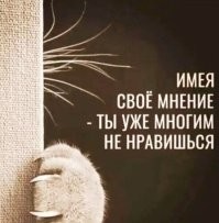 О каком "экспертном мнении" вообще идет речь? Я живу по принципу указанному на картинке и это мне нравится, и буду, и дальше всё дорогу так поступать.