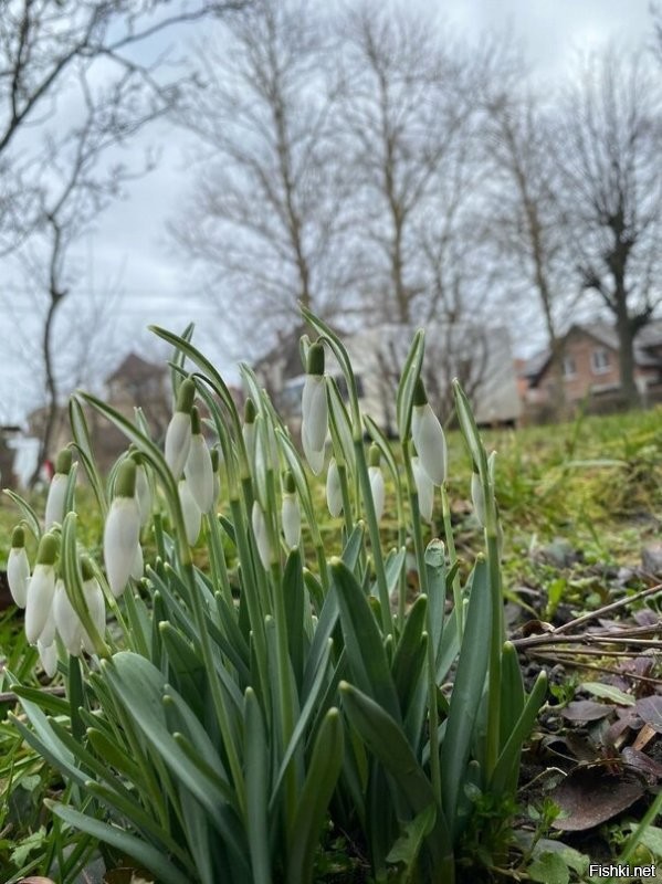 32  30' с. ш. по 42  с. ш. Калифорния. Наш город -54 57 32  с.ш.  Я конечно понимаю -горы... Но Калифорния... и Северо-Запад России. Два дня назад и сегодня после обеда (последние).