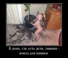 Вечерний улыбатор