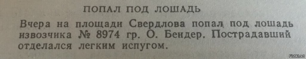 Лошадь неожиданно напала на мужчину