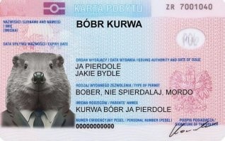 За чей счет банкет? Дания хочет получить от России компенсацию за расследование взрывов на Северных потоках
