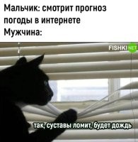А смысл? Что, если на улице дождь или мороз, то на работу идти не надо? Или зонт слишком тяжёлый?