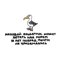 Через 10 лет, это будет уже не молодой альбатрос.