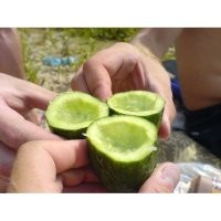 Скрины из соцсетей&nbsp;