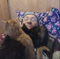 Живу в частном доме.
Соседская кошка регулярно плодится.
Оставляют одного, а остальных топят.

  В этот раз кошка нашла в сарае такой глухой угол, что соседи не смогли до них добраться. Когда котята стали выходит на улицу, оказалось, что их четверо.
  Я наблюдал за ними через окно и стал замечать, что один из них явно отстаёт в развитии.
Если все активно играли и возились между собой, то это жалкое существо сидело в одиночестве, сжавшись в комочек. Они его явно сторонились, а кошка его даже не вылизывала. Когда я попытался подойти, они шустро нырнули в дырку, только он один и не подумал убегать, а поковылял в мою сторону.
  Я взял его в руки и удивился, что он почти ничего не весит. Грязная шерсть местами свалялась, местами была в репьях. А ещё от него воняло. Нет, не так.
От него ВОНЯЛО!
Осмотрев его повнимательней, я понял причину вони.
Внизу живота образовался большой колтун из свалявшейся шерсти и фекалий. Он полностью закрывал естественные отверстия и испражнения накапливались под ним, найдя маленькую дырочку сбоку, откуда сочилась зловонная жидкость зеленоватого цвета.
  Я стал прикидывать, как бы быстро и безболезненно избавить его от страданий, но он так тоскливо и обречённо смотрел на меня, что я отложил лопату, взял ведёрко и пошел за горячей водой. 
Постепенно колтун растворился, и под ним открылась жуткая картина: весь низ живота напоминал сырое мясо. 
Я ополоснул котёнка чистой водой, вытер тряпкой и положил около дыры в сарай. 
  «Кошки живучи, авось оклемается», - подумал я.
  Через несколько дней котёнок уже играл, и мама стала его вылизывать. Меня он уже не боялся, а мчался ко мне, задрав хвостик. 
Отёк на животе спал, и раневая поверхность стала постепенно затягиваться кожей. 
  Сейчас этот «Пушистик» ни в чём не отстаёт от остальных, а по аппетиту ещё и превосходит их.

   Остальных тоже жалко, и я их подкармливаю, тем более что мама-кошка перестала их кормить. Рычит на них и бьёт лапой.
Природа жестока: подросли – сами добывайте пищу.
Они перестали меня бояться и бегают за мной по двору, а дома мурчат у меня на груди.

  Прошла зима и "банда четырёх" подросла и окрепла.
Кормить их становится всё накладней, но зима - позади, а по теплу шансов выжить будет больше. 

Что дальше делать?