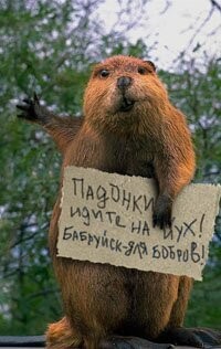 За чей счет банкет? Дания хочет получить от России компенсацию за расследование взрывов на Северных потоках