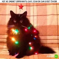 Щас! Ещё как сможет!