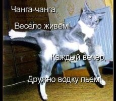 Дрались все — парни, девушки, собаки: в Орске камера зафиксировала массовую драку