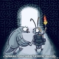 «Мои права — это божественные права»: женщина показала полицейским права, которые купила за марки