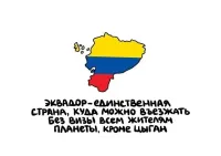 Томми одобряет.