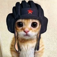 Коте танкошлема не хватает.