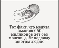 В голову такая мысль может прийти ТОЛЬКО при отсутствии серого вещества. То которое мозг называется.