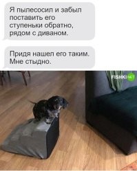 Вот эта порода подойдёт