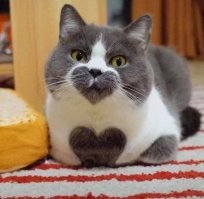 Сердечки этому артисту  :