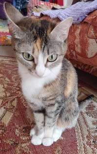 ты серьёзно?