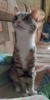 уже интереснее звучит!