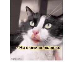 Просто гифки, всякие и&nbsp;разные