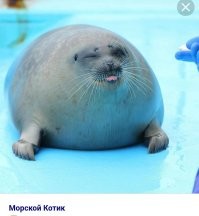 Кабели в море!