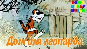 Мальчик не растерялся и запер леопарда в помещении