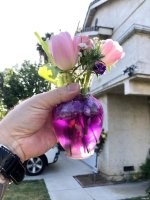 Ля открытие: Если что-то покрасить водорастворимой краской, а потом это что-то опустить в воду, то вода окрасится. Генитально!

Мы так цветы ещё в школе красили (40 лет назад). Если взять "долгоиграющие" цветы и периодически менять крашеную воду на чистую, можно получить полосатые цветы.