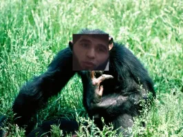 Простите, обезьяны, не хотел оскорбить ваших чувств.