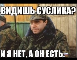 Если старушка такая мошенница, то нафига она попросила снять её с поста?
Вполне возможно, что все эти деньги у неё и она собиралась передать их новому председателю. Может её спросить уже? Да и 60  долл. в год - это копейки.

PS То ли есть ТСЖ, то ли нет - вообще не ясно