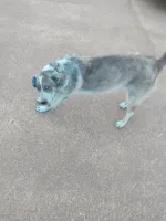 83-летняя американка обожает зелёный цвет и всё, что с ним связано