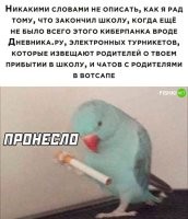 И дневник свой старый можно достать, посмотреть.