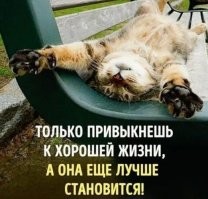 Что изменится в России с марта: банки, ипотека и ОСАГО