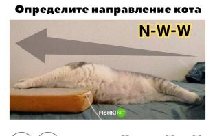 Не ищите здесь смысл. Здесь в основном маразм