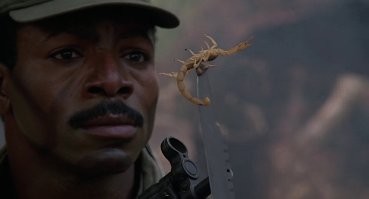 Постояльца отеля в Лас-Вегасе во время сна ужалил скорпион