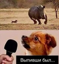 Фигня!..