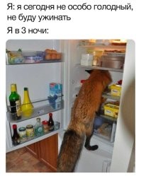 Названы продукты, вызывающие бессонницу