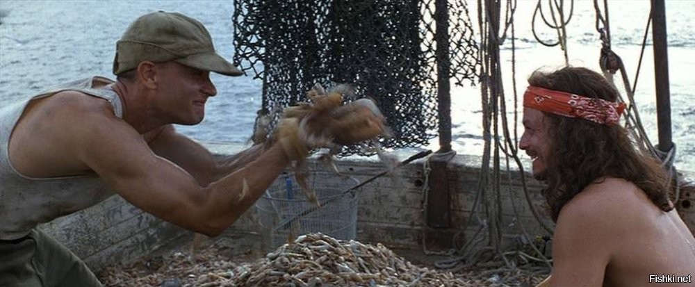В Йемене на берег выбросило несколько тонн морских креветок