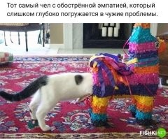 Новые приключения Boeing