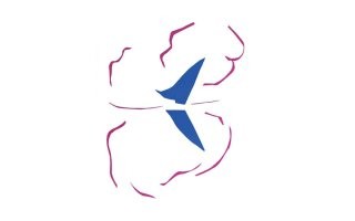 Анри Матисс «Лодка»...
Под бульдозер этих пи**арасов ((С) Хрущов)