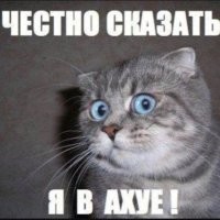 Урсула Бёттчер – повелительница белых гигантов