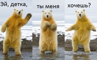 Урсула Бёттчер – повелительница белых гигантов